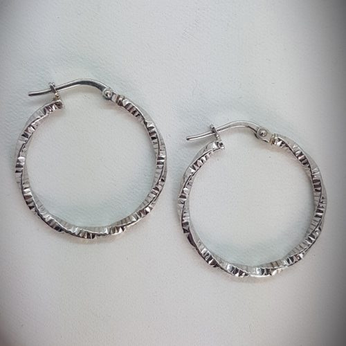 Hoops Sterling Silver Earrings