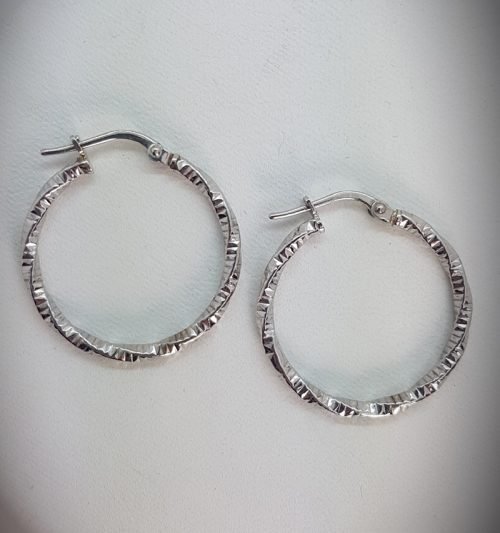 Hoops Sterling Silver Earrings