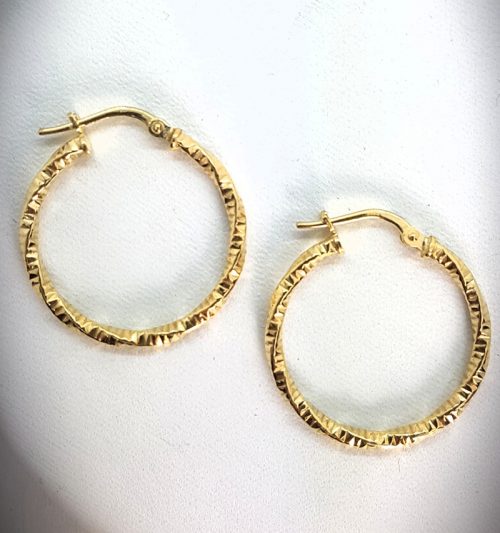 Hoops Sterling Silver Earrings