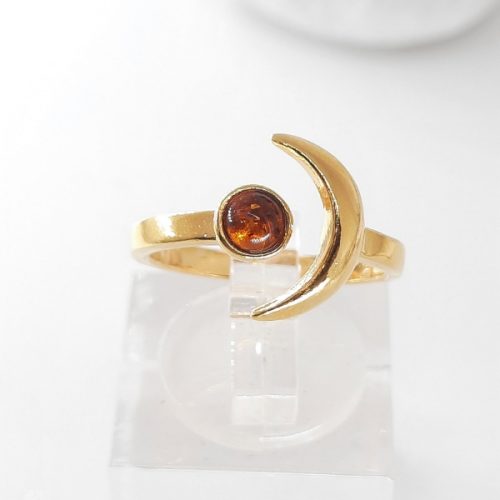 Amber ring and silver