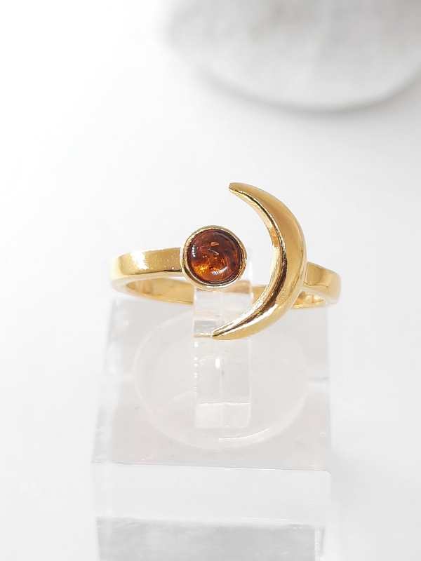 Amber ring and silver